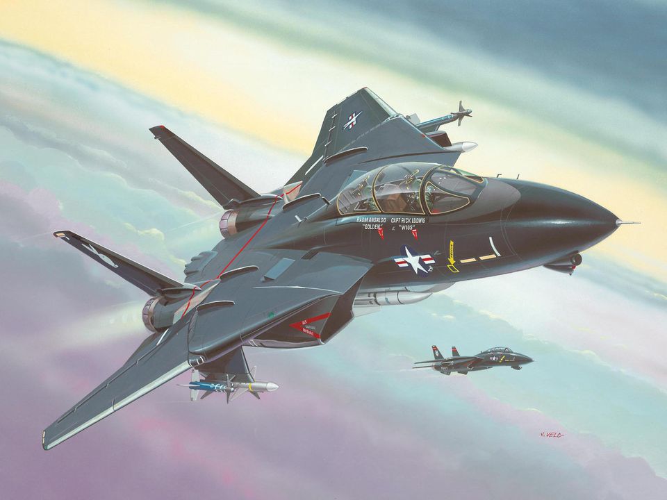 Revell F-14A Black Tomcat in 1:144 bouwpakket