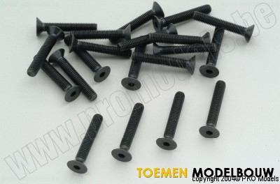 Rec countersunk head screws 10pcs - G-06722-30